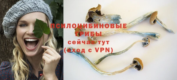 дживик Аркадак