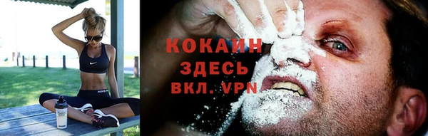 дживик Аркадак