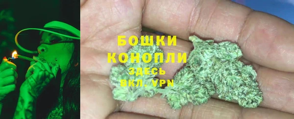 дживик Аркадак