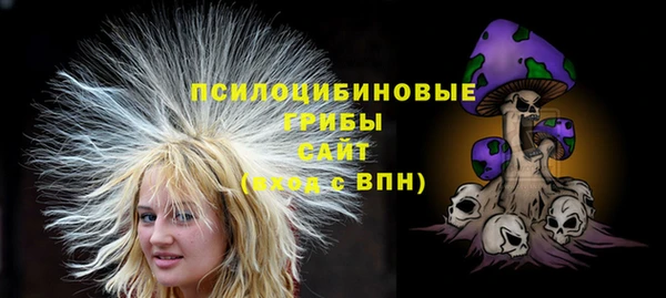 дживик Аркадак